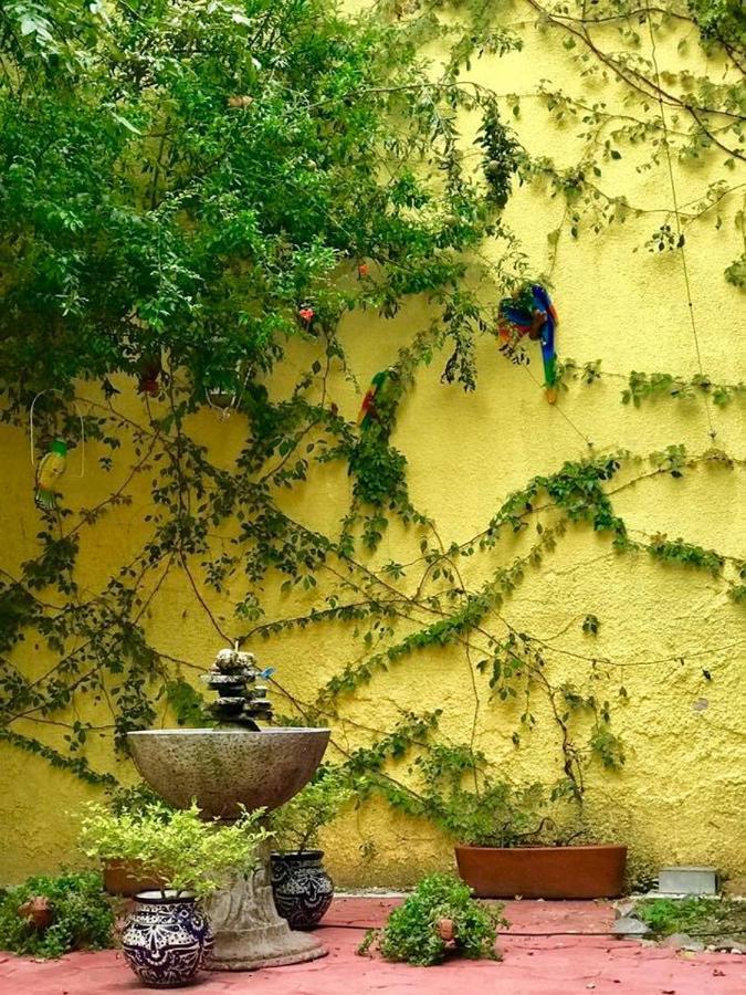Hostal Tlaquepaque المظهر الخارجي الصورة